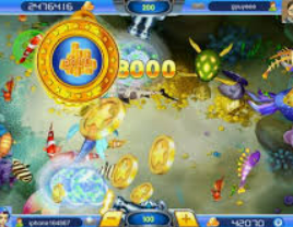 333体育2024最新版